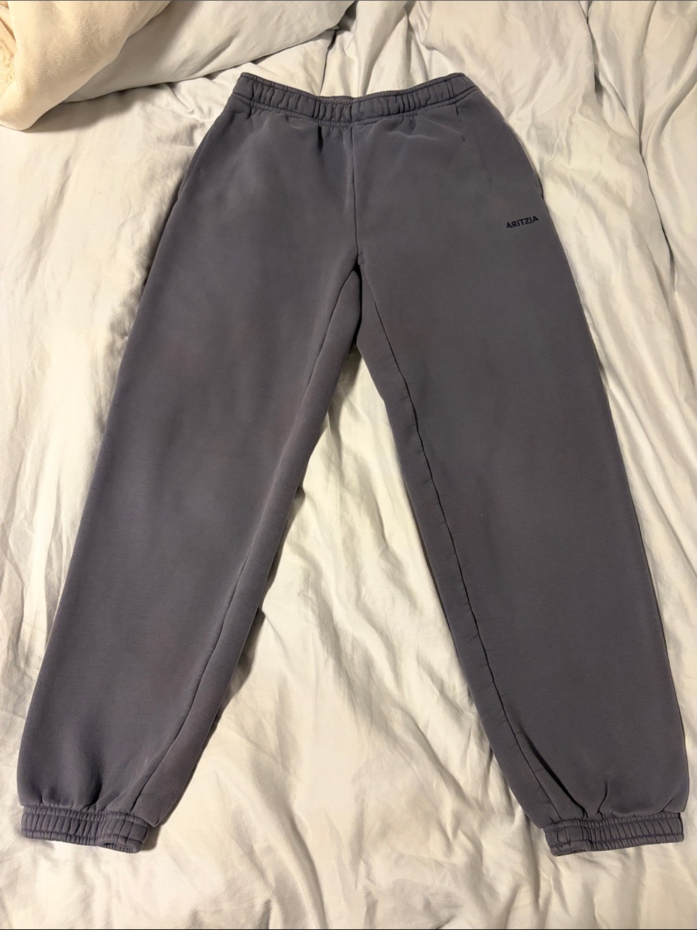 Aritzia blue-gray Fleece Joggers